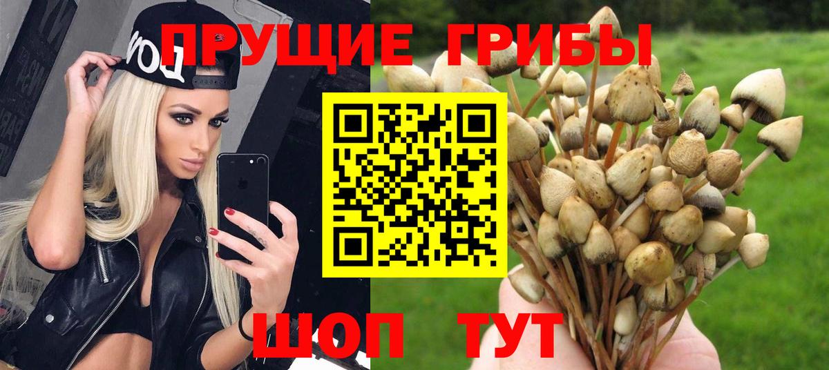 Псилоцибиновые грибы ЛСД  Псилоцибиновые грибы прущие грибы  Новочеркасск  Вход с VPN 